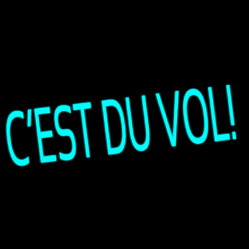 Cest Du Vol Neon Sign