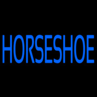 Blue Horseshoe Neon Sign