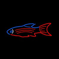 Blue Red Fish Neon Sign