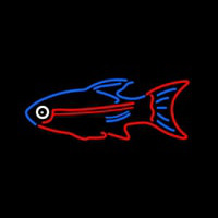 Blue Red Fish Neon Sign