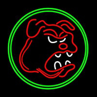 Bull Dog With Oval Neon Sign