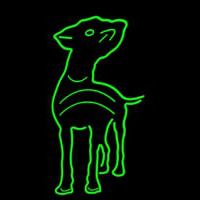 Dog Neon Sign