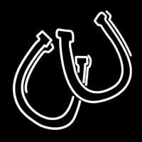 Horse Shoe Pair Neon Sign