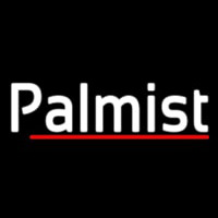 Palmist With Red Line Neon Sign